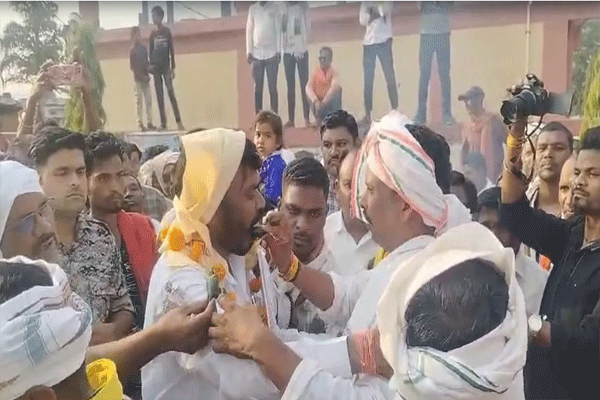 mla