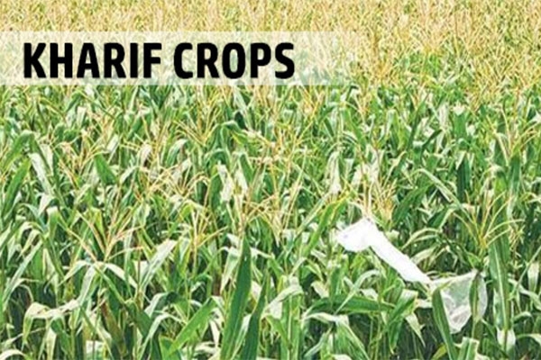 kharif