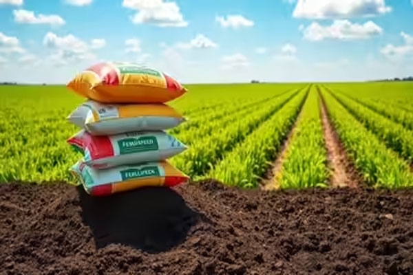 Illegal Stock of Fertilizer Illegal Stock of Fertilizer