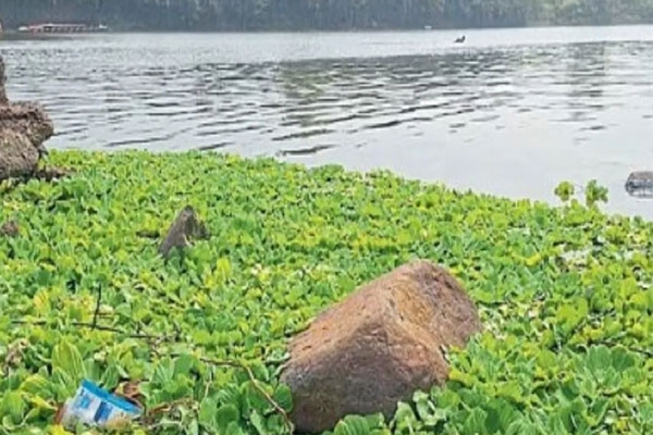 Pune water pollution 