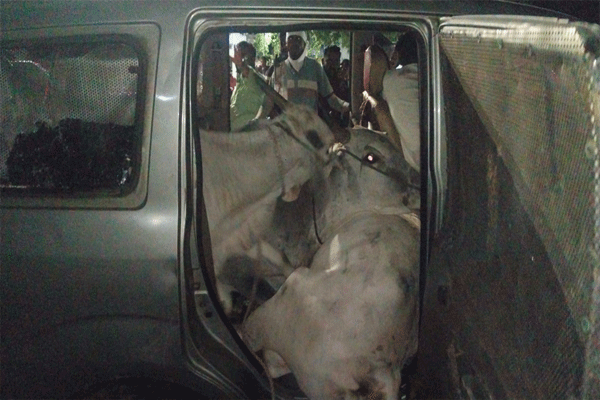 विशिष्ट समुदायाकडून दर्यापुरात दगडफेक