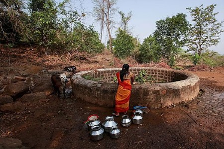 राज्यातील १५ जिल्ह्यांमध्ये पाणीटंचाईचा कहर