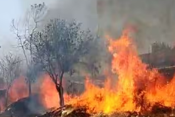 आगीत गोठा, शेती साहित्य खाक