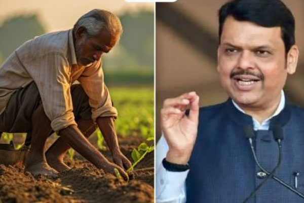 fadnavis and farmer