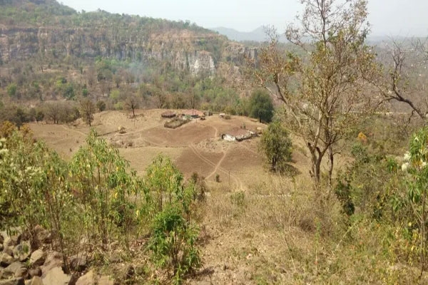 Pune forest restoration, wildlife habitat restoration Maharashtra,