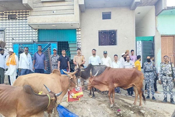 Cattle smugglers