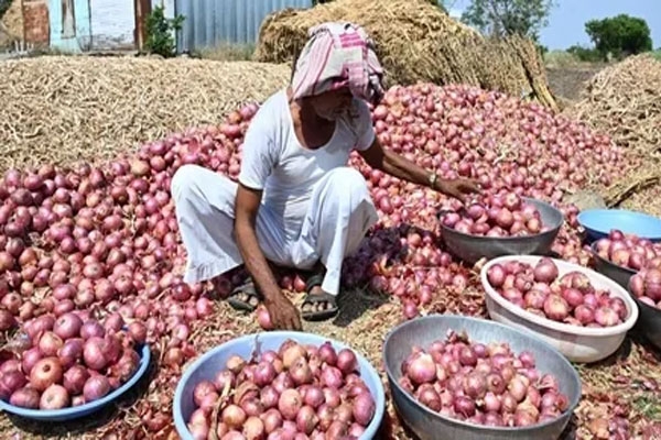 Nashik onion farmers 