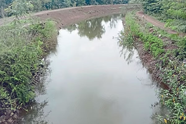 Bhatsagar dam water level