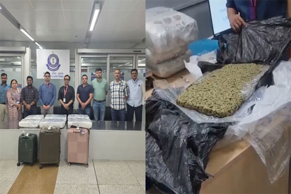 Delhi airport drug bust, IGI Airport drug seizure, Hydroponic weed seized