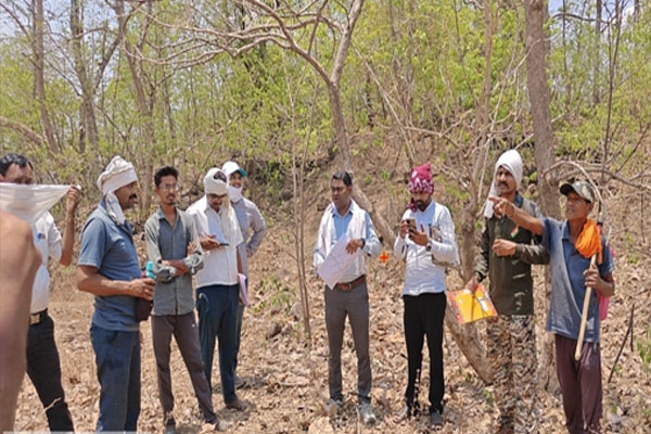 Protection of Forest Resources Protection of Forest Resources