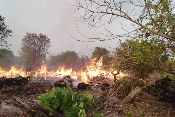 Fire at Ghote Wood Depot