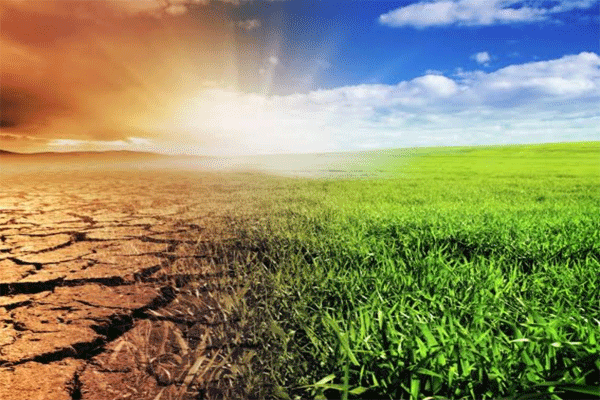 Climate