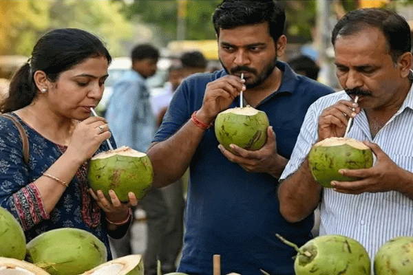 Coconut Water
