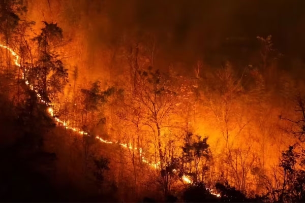 Forest fire in Himachal