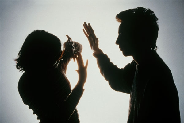 domestic violence case 