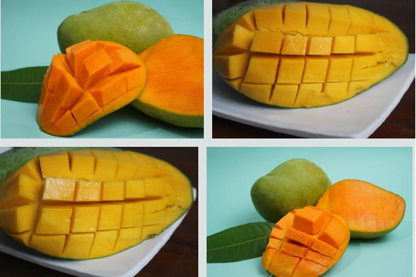 Japan Ban on Indian Mangoes,