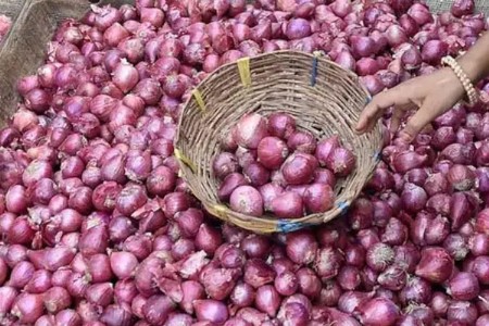 कांद्याला दराचा ‘काटा’ खालीच