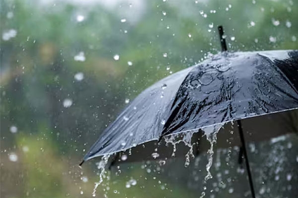 Maharashtra unseasonal rain 