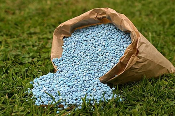 fertilizer