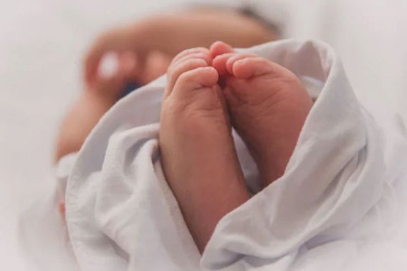 कोवळ्या जीवांचा अकाली प्रवास!