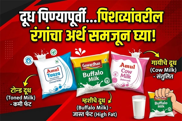 milk packet color meaning 