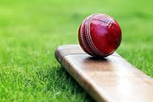 vidarbha cricket associations