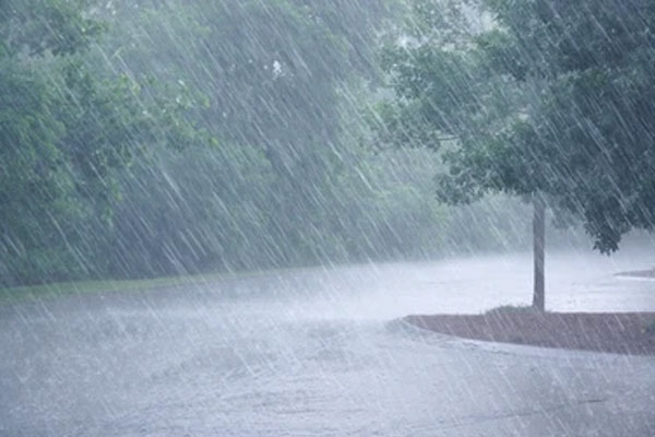 rain dksls
