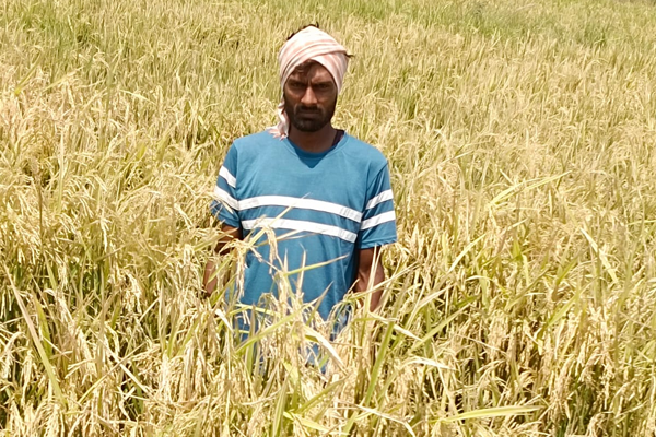 modern agriculture
