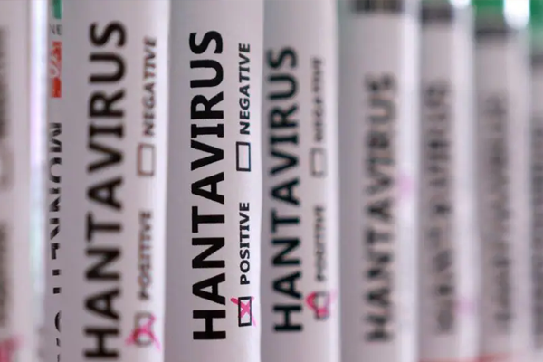 hantavirus alertness
