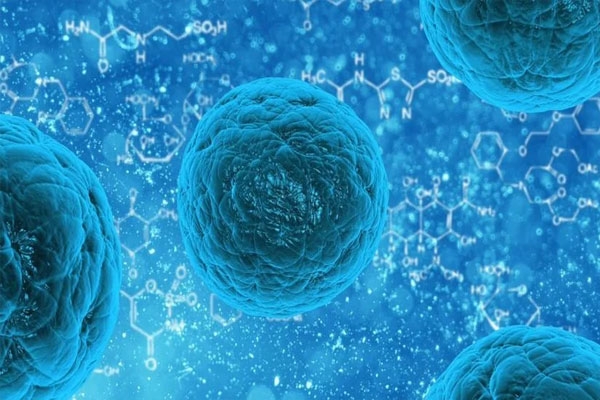 norovirus