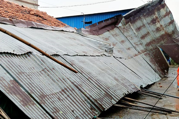 चंद्रपुरात वादळी वार्‍यासह पावसाची हजेरी