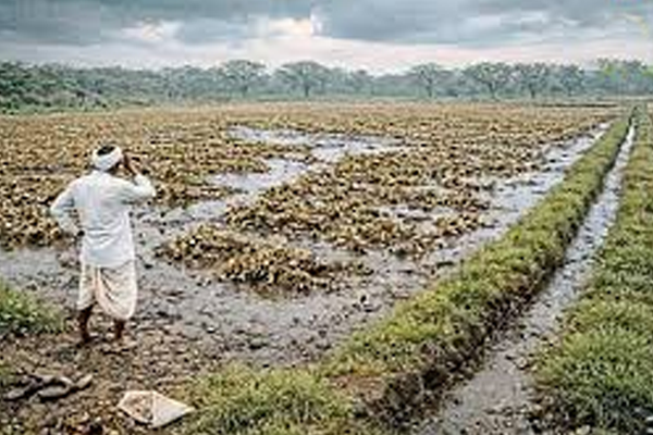 compensation approved farmers