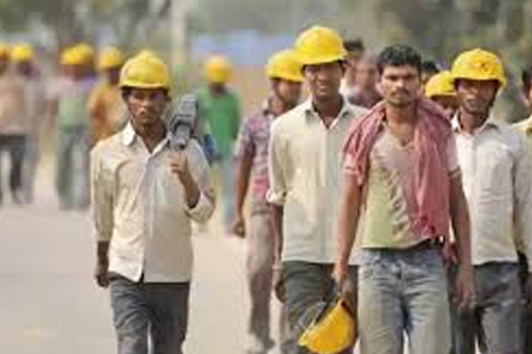 labour  code 