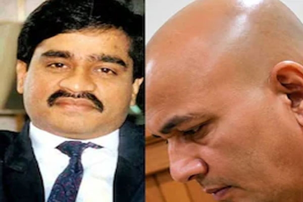 गुर्गा मुन्ना झिंगाड़ा