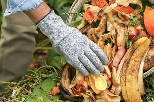 zero waste gardening
