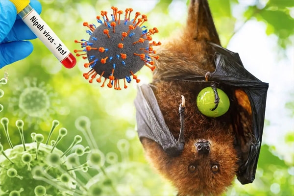 Nipah