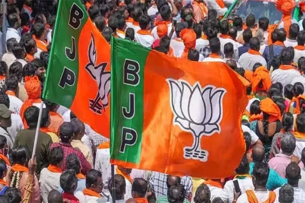 bjp-mp-rajya-sabha