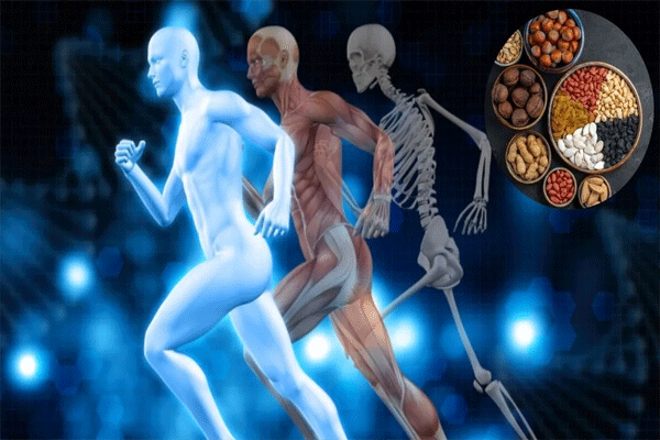 superfoods for bone health