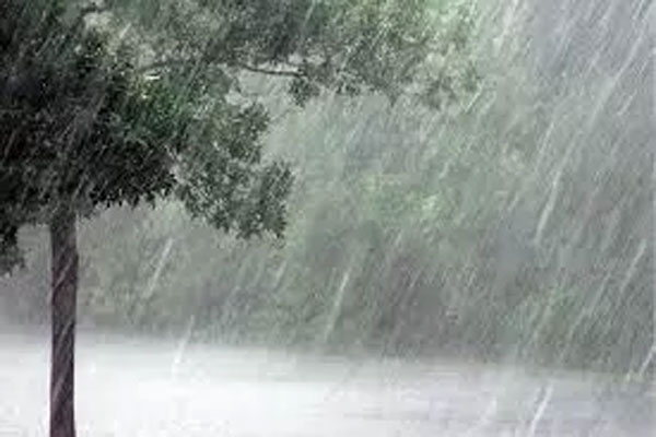 rainfall