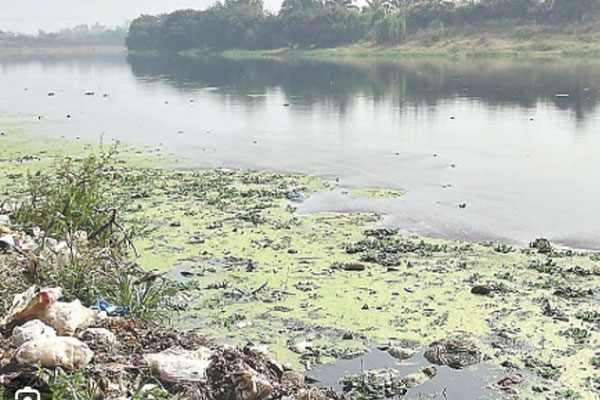 Indrayani River pollution, Dehu Sant Tukaram Maharaj Palkhi 2026,