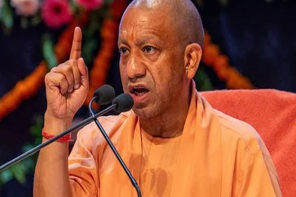 yogi1