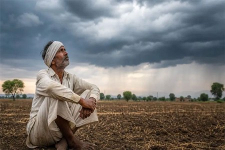 मिरुग लागून आठवडा उलटला तरी वरुणराजाची अवकृपा