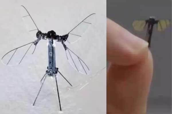 drone mosquito drone mosquito