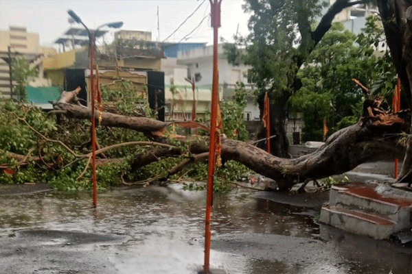 धामणगाव रेल्वेत वादळी पाऊस