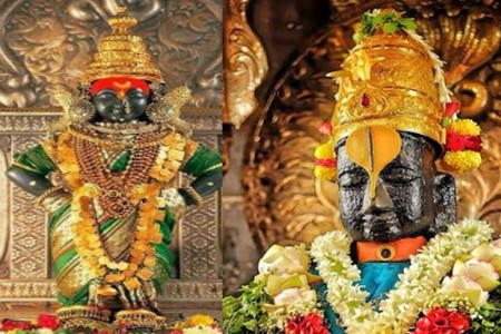 विठुरायाच्या मूर्तीवर रसायनांचा स्पर्श नको!