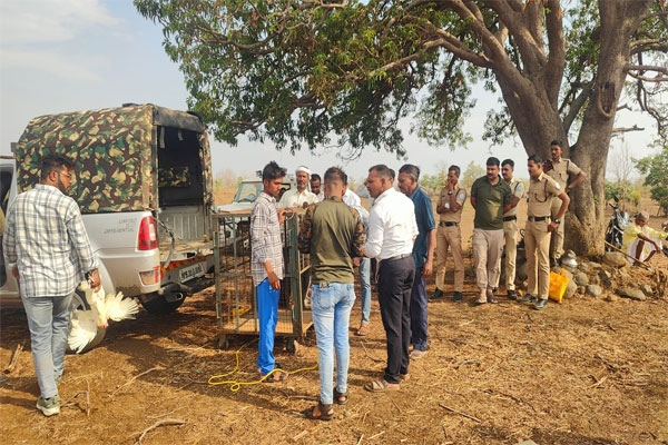 forest department