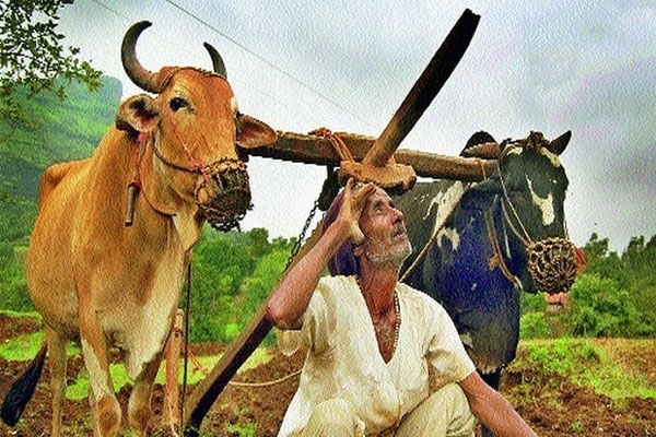 Farmar