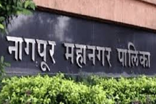 Nagpur tree concretization issue
