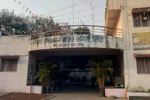 Cotton farmers fraud Maharashtra, Sindi APMC scam case,