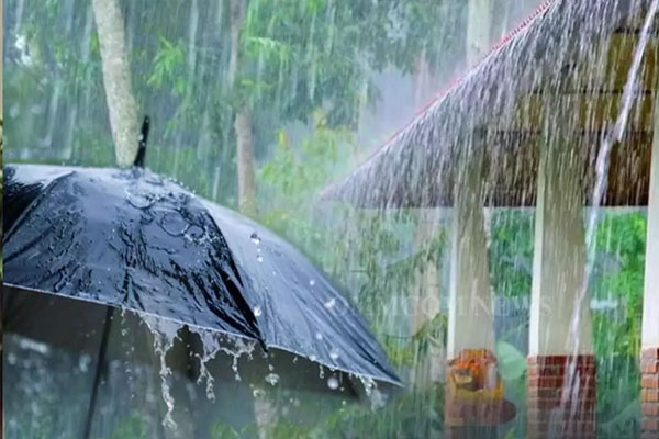 Monsoon Monsoon